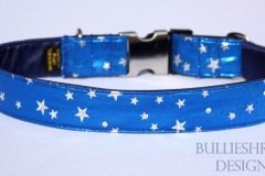 Blue-star-collar_H