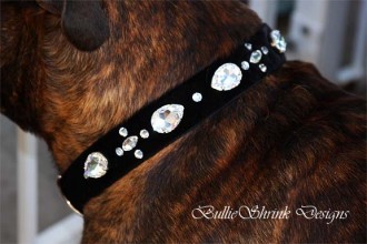 Black velvet collar with large Swarovski crystals elegantly modeled by Red Baron