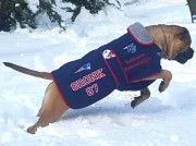Bulhavens Game Changer "Gronk" wearing his custom designed Posh Parka. Complements of Mary Hannigan.